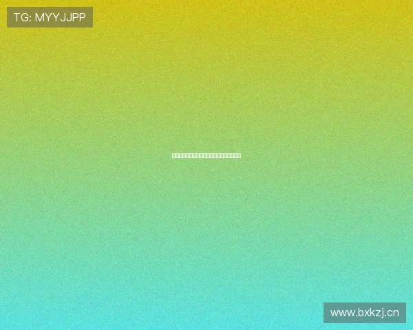 熊猫站入口区域规划与周边设施完善方案分析